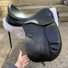 Spalding brittanica dressage for sale  DEWSBURY