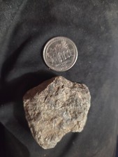 Carbonaceous chondrite 56.6g for sale  Pahrump