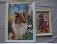 Vintage reproductions chiens d'occasion  Quillan