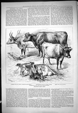 Old islington dairy for sale Old islington dairy for sale  UK