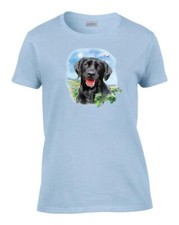 Women black lab for sale  Kimberling City