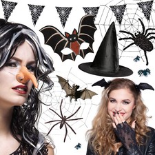 Hexe fledermaus spinne gebraucht kaufen  Löhne