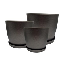 3pcs plant flower for sale  BRISTOL