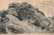 Mauves grotte faux d'occasion  Expédié en Belgium