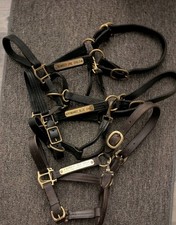 Lot standardbred racehorse for sale  Mays Landing