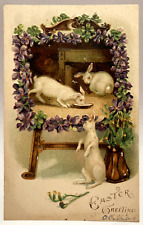 Easter greeting bunny for sale  Elverson