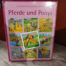 Pferde ponys entdecken gebraucht kaufen  Westerrönfeld
