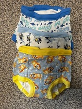 Bluey training pants for sale  Anchorage