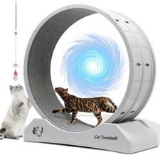 Wudlep cat exercise for sale  STEVENAGE