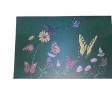 Ray harm hand for sale  Middleburg