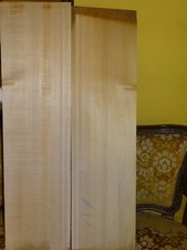 Tonholz tonewood interessante gebraucht kaufen  Deutschland