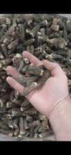 Morilles conica séchées d'occasion  Montpellier-