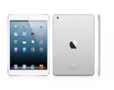 Apple ipad mini for sale  Flushing