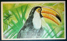 Cartão ilustrado de arte da vida selvagem TOCO TUCAN CE25M comprar usado  Enviando para Brazil