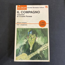 Libro 1040 compagno usato  Valeggio sul Mincio