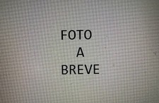 Fiat campagnola ar59 usato  Torrebelvicino