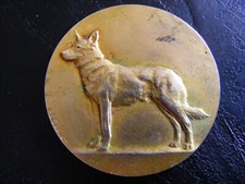 medaille chien bronze d'occasion medaille chien bronze d'occasion Villers-Bocage
