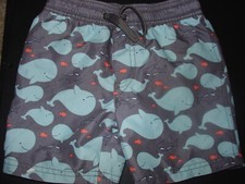 Boy toddler swim for sale  Centralia