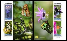 Mariposas África Central 2024.  (241) segunda mano  Embacar hacia Mexico