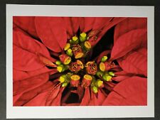 Titre fleurs fruits d'occasion  Beaumont-de-Lomagne