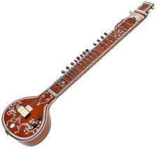 Sitar elettrico professionale usato  Spedire a Italy