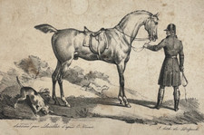 Cheval lithographie locillot d'occasion  Pluvigner
