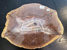 Mamut achat 24x18cm gebraucht kaufen  Weinböhla