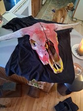 Longhorn steer skull for sale  Lebanon