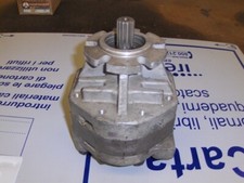 Hydreco gear pump usato  Fombio