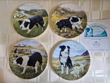 Tyke border country for sale  PLYMOUTH
