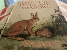 Babies fields meadows for sale  ARUNDEL