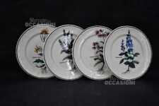 Set piatti immagine usato  Susegana
