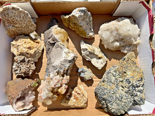 Mineralien sammlung konvolut gebraucht kaufen  Herrischried