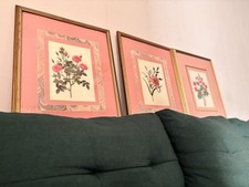 Set redouté botanical for sale  Memphis