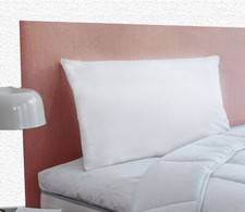 Oreiller anti acariens d'occasion  Saujon