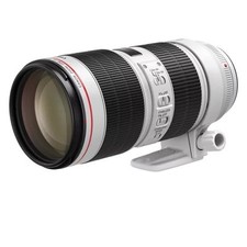 Canon 200mm iii gebraucht kaufen  Berlin