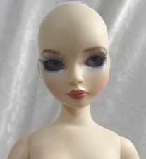 Tonner wilde imagination for sale  Dearborn