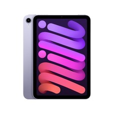 Ipad mini 8.3 usato  Italia