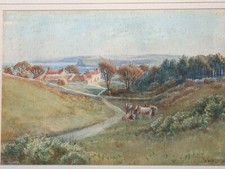 Vintage original watercolour for sale  RUARDEAN