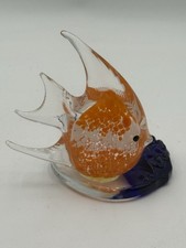 Small colorful fish for sale  Surprise