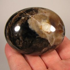 Pedra de palma polida opala preta 2,6" - Madagascar comprar usado  Enviando para Brazil