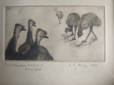 Martin erich philipp gebraucht kaufen  Dresden