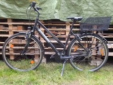 Gebrauchtes pegasus avanti gebraucht kaufen Gebrauchtes pegasus avanti gebraucht kaufen  Karlsruhe