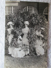 Nursing students bushes for sale  Dearborn