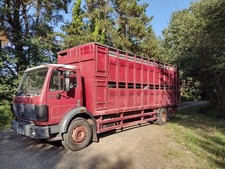Cattle lorry 25ft for sale  OKEHAMPTON