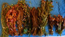 Pink red aquarium for sale  ROTHERHAM