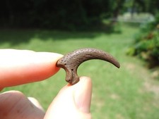 Rare raptor claw for sale  Tallahassee