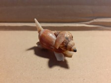 Seashell dog ornament for sale  HULL