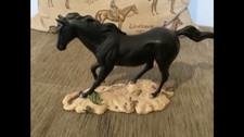 Royal daulton black for sale  WINGATE