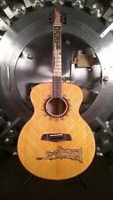 Blueberry guitar handmade for sale  Huntington